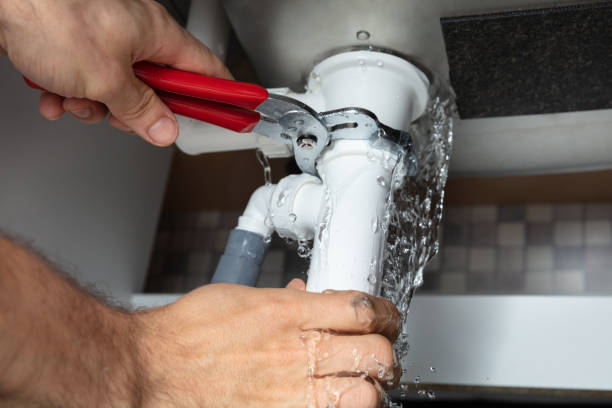 Best Mold removal after water damage  in Ackley, IA