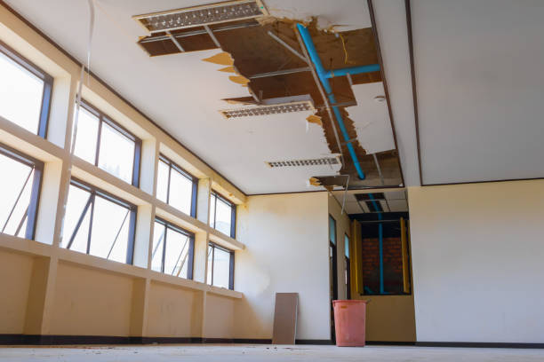 Best Flooded house restoration  in Ackley, IA