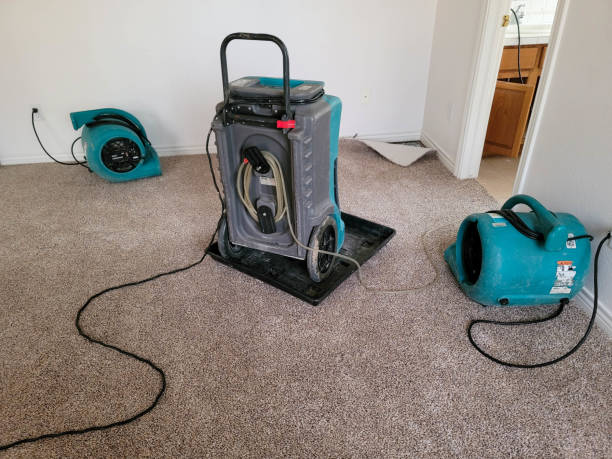 Best Carpet water damage restoration  in Ackley, IA