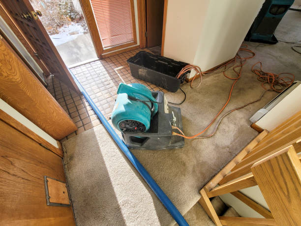 Best 24-hour water damage restoration  in Ackley, IA