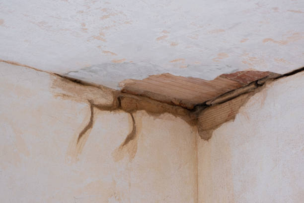 Best Local water damage restoration  in Ackley, IA