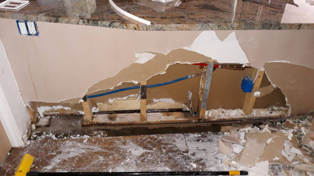 Best Water damage cleanup near me  in Ackley, IA