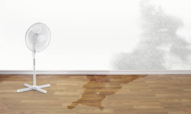 Fire Damage Restoration in IA