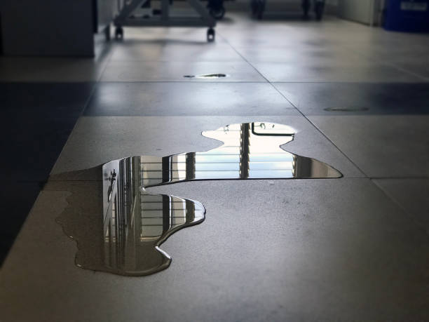 Best Water damage restoration process  in Ackley, IA