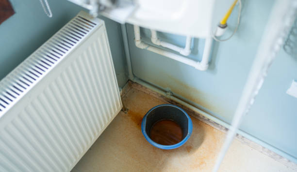 Best Water damage restoration near me  in Ackley, IA