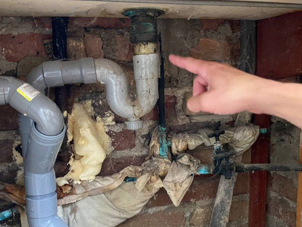 Best Commercial water damage restoration  in Ackley, IA