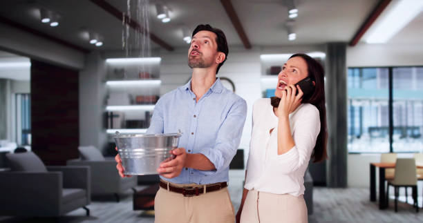 Best Local water damage restoration  in Ackley, IA